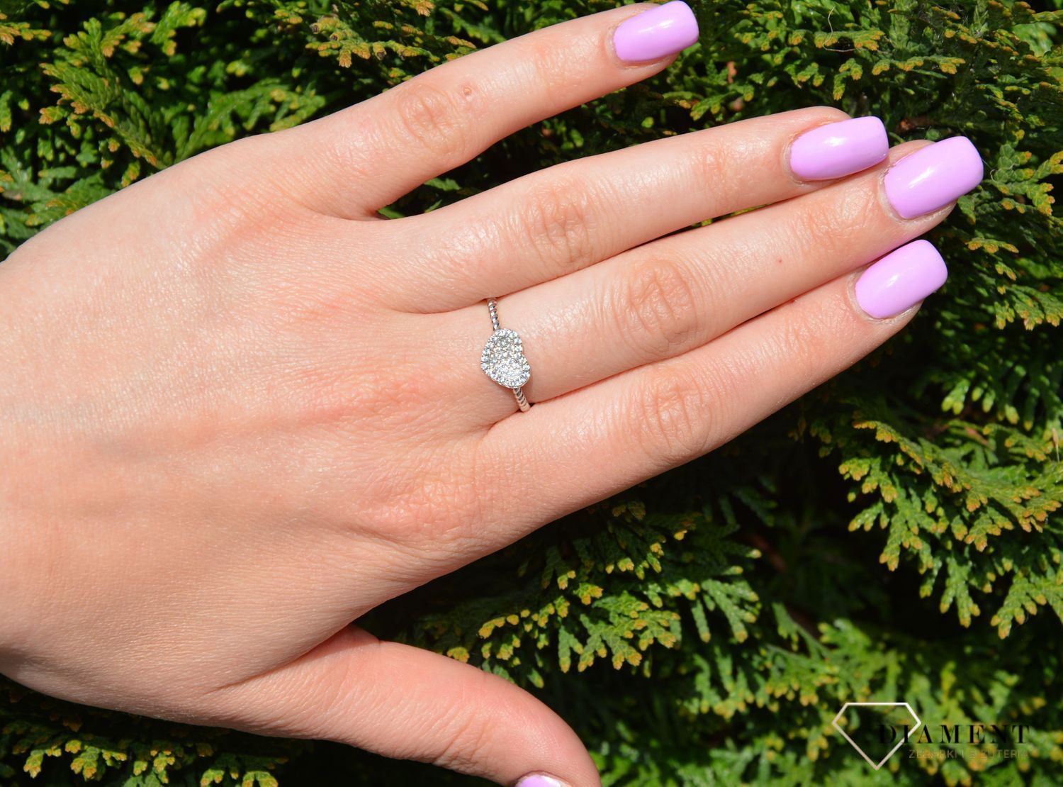 PRS 000000 352 925.jpg